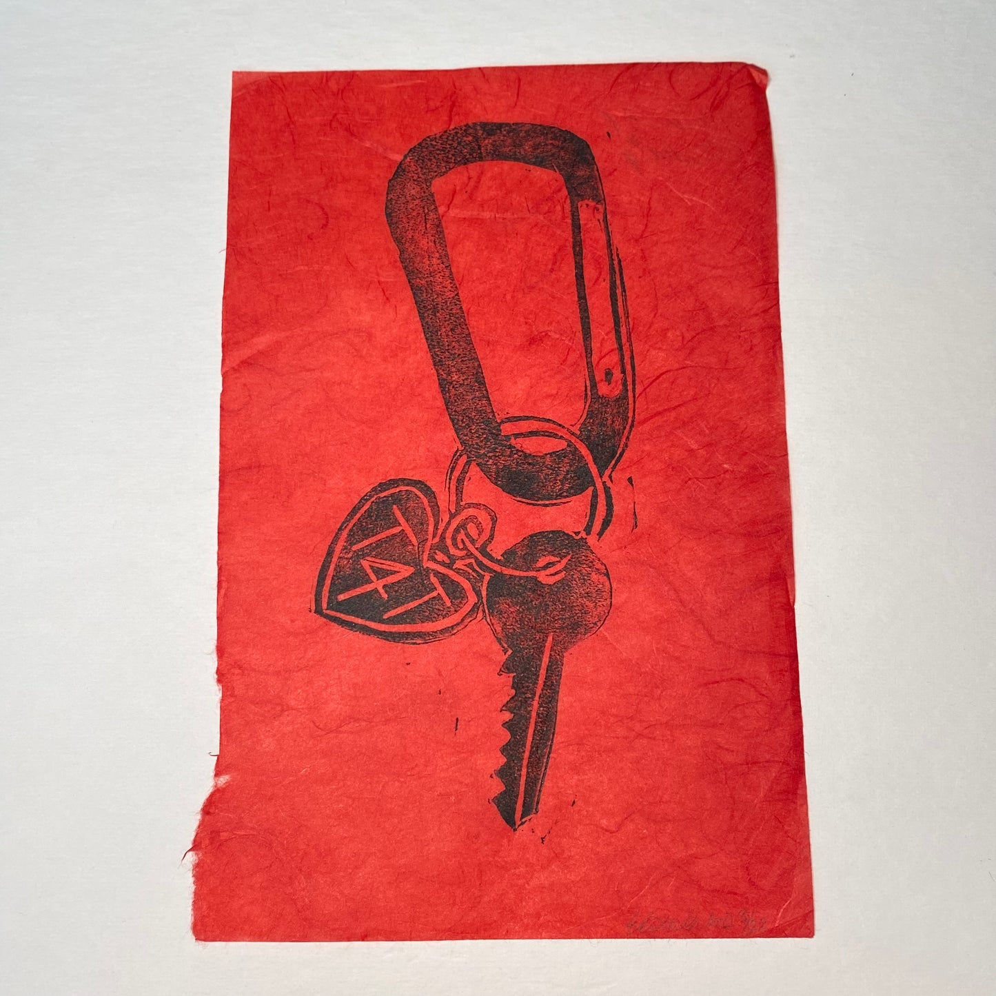 T4T Carabiner Block Prints (8 Varieties)