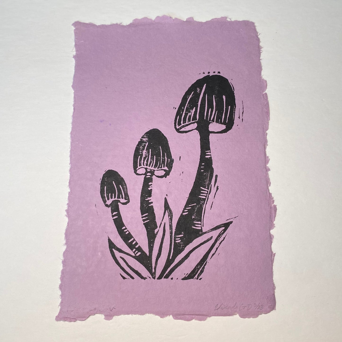 Mushroom Block Prints (5 Varieties)